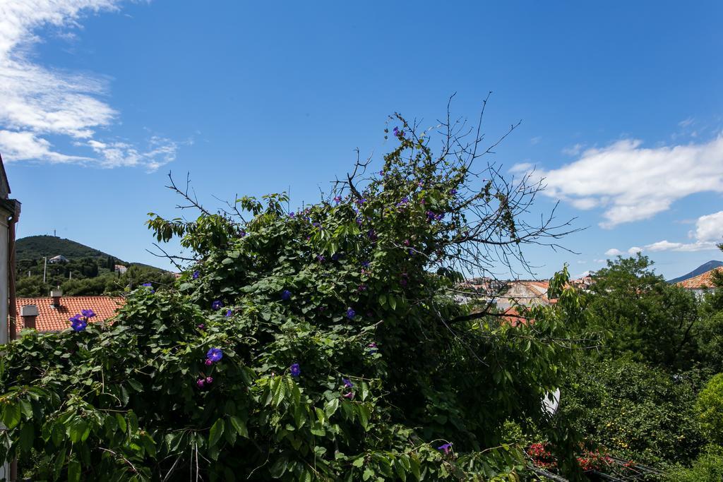 Apartment Tranquilo Дубровник Екстер'єр фото